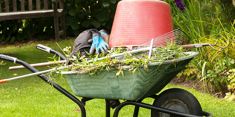 Primex Garden Center -Spring Awakening What Your Landscape Needs Now-cleaning up garden debris