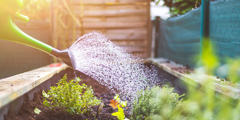 Primex Garden Center -How to Water Plants Eco-Consciously-watering garden