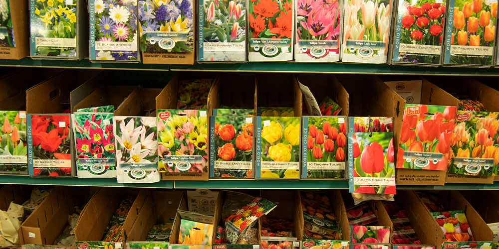 Primex Garden Center-Pennsylvania -A Guide to Growing Bulbs-assorted packaged tulips for sale