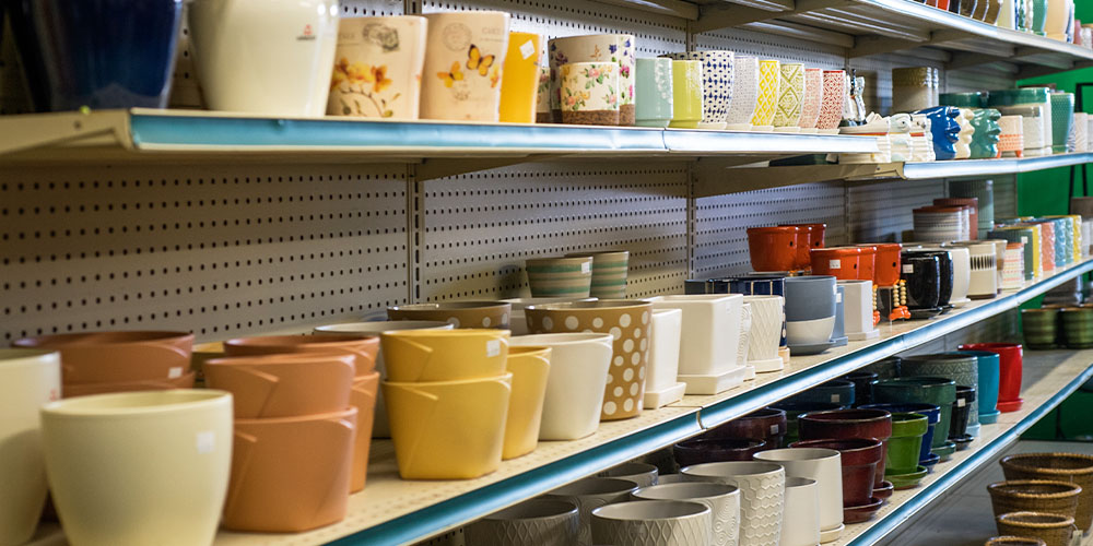 Primex Garden Center-Pennsylvania-How to Grow Philodendrons-houseplant pottery