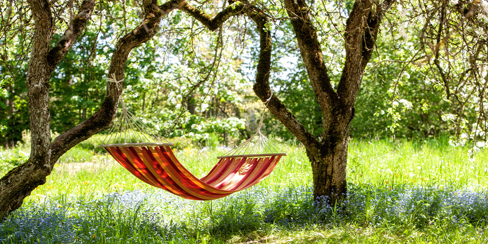 Primex Garden Center-Pennsylvania-Why Trees Are More Important Than You Think-hammock in trees