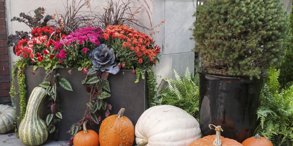 Primex Garden Center-Glenside-Pennsylvania-Transitioning Your Summer Planters to Fall-autumn porch pot