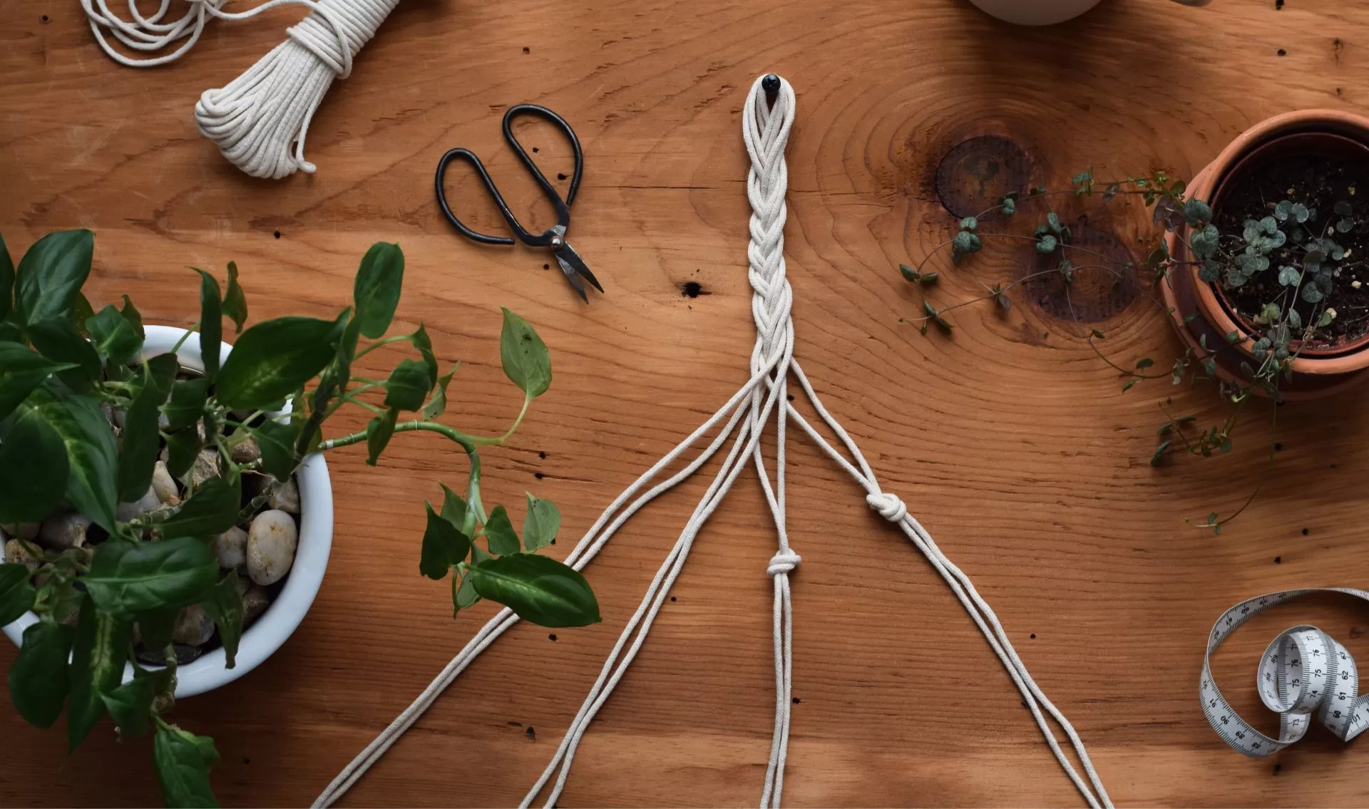 Primex Garden Center-Pennsylvania-Macrame-Plant Hanger-Workshop