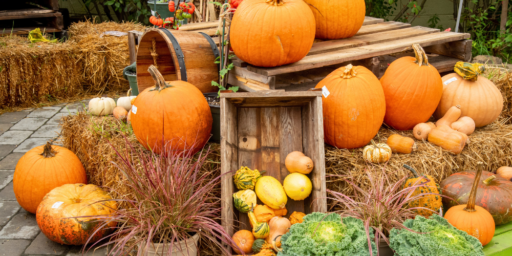 Primex Garden Center-Glenside-Pennsylvania-outdoor fall decor details