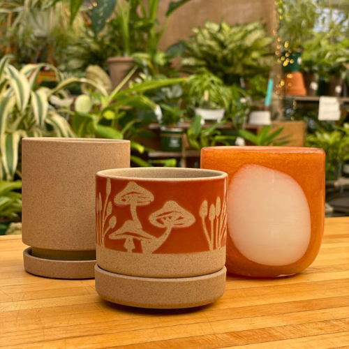 Primex Garden Center-Glenside-Pennsylvania-Holiday Gift Guide 2023-pottery