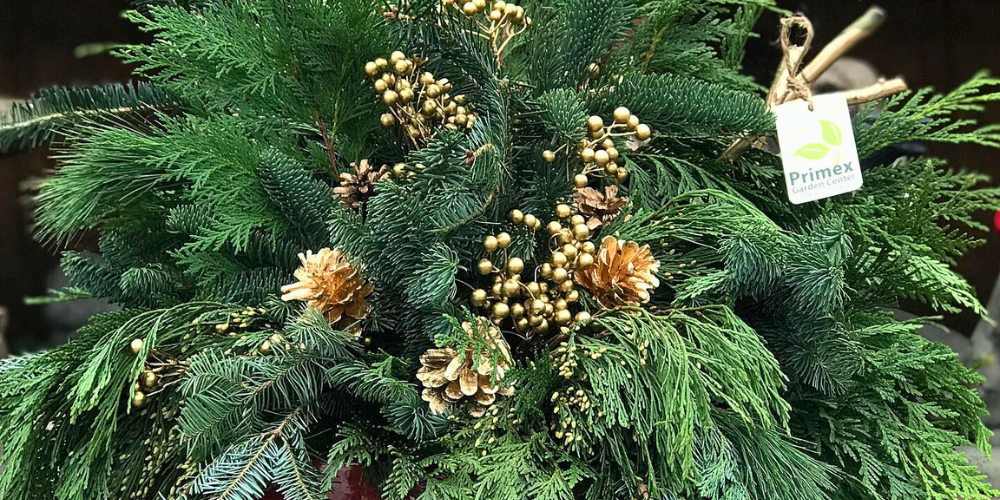 Primex Garden Center-Glenside-Pennsylvania-Holiday Plant Care Guide-Christmas greens