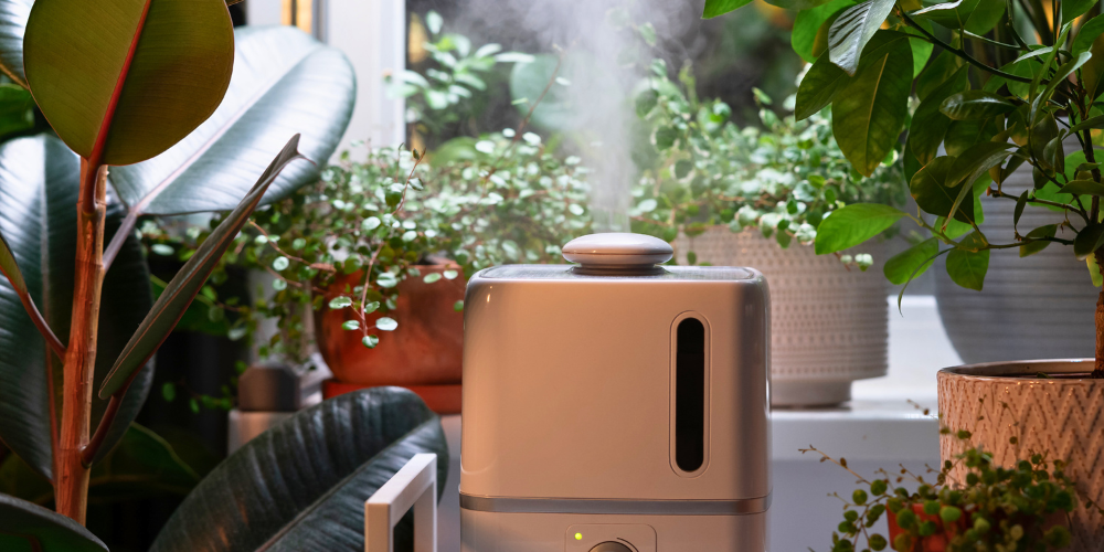 Primex Garden Center-Pennsylvania-Glenside-Houseplant Care for the Winter Season-humidifier