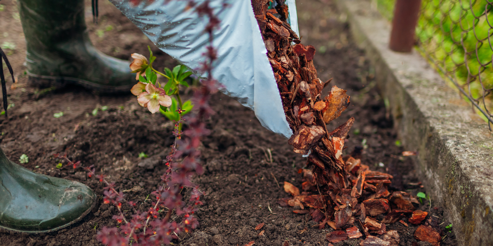 Primex Garden Center-A Winter Garden Checklist for Pennsylvania-add mulch to garden