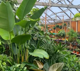 Gardening Tips and Resources - Primex Garden Center