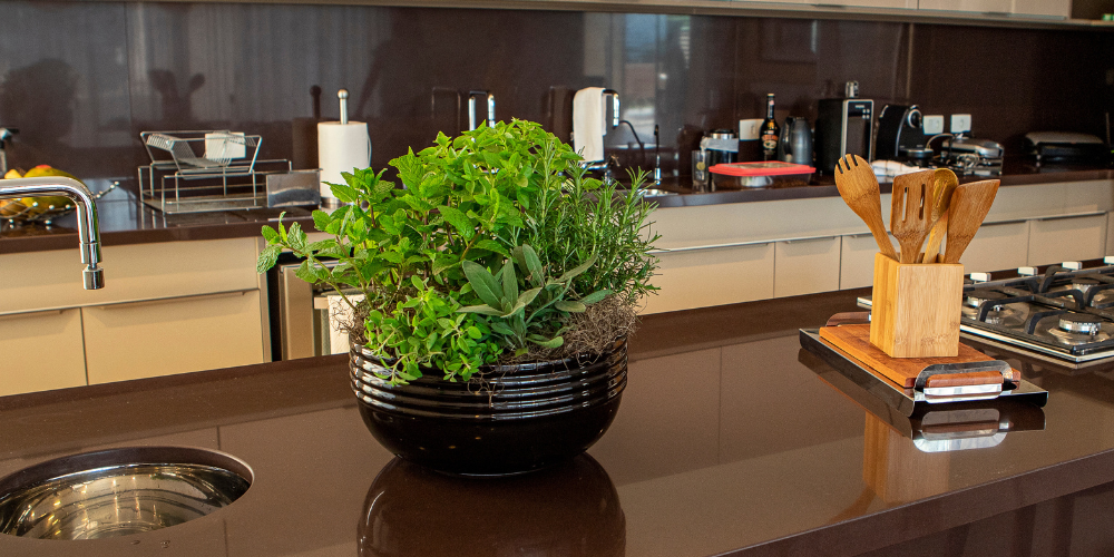 Primex Garden Center-Glenside-Pennsylvania-Indoor Gardening for Small Spaces-herb garden kitchen