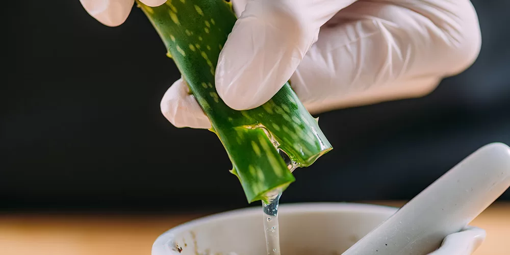 Primex Garden Center-Glenside-Pennsylvania-Plant-Based Skin Care-aloe cream DIY