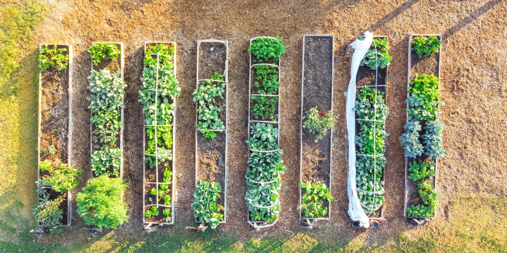 Primex Garden Center-Glenside-Pennsylvania- Benefits of Community Gardens -community garden beds