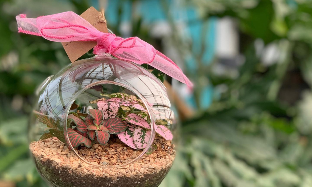 Primex Garden Center-Glenside-Pennsylvania-Valentines Day Gift Guide-terrarium gift