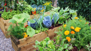 Where Bounty Meets Beauty: The Essentials of ‘Edimental’ Gardening