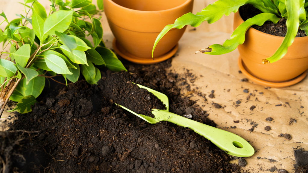 Primex Garden Center-Glenside-Pennsylvania-repotting houseplants-terracotta pots and soil