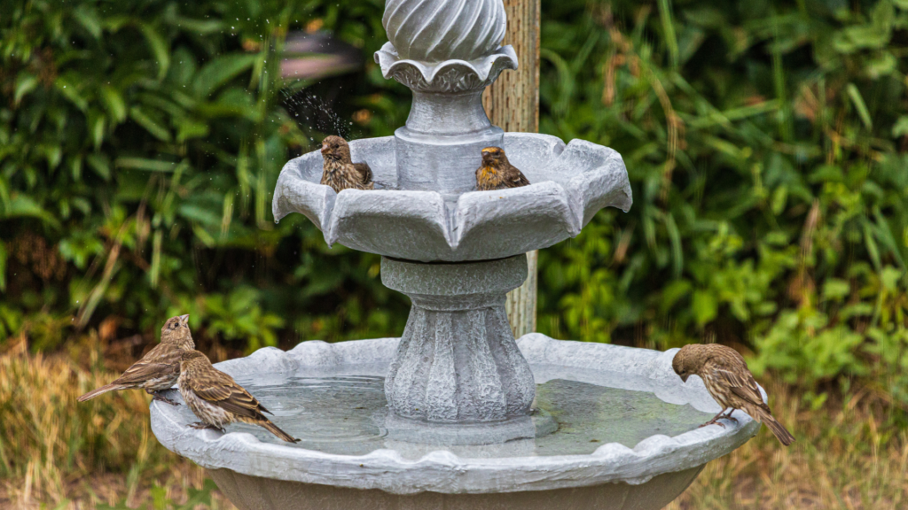 Primex Garden Center-Glenside-Pennsylvania-backyard trends 2024-birds splashing in water fountain