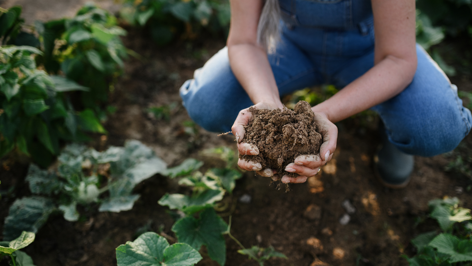 Primex Garden Center-Glenside-Pennsylvania-Companion Planting-gardener holding soil in garden 
