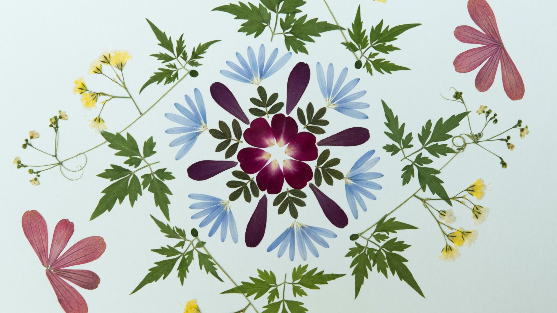 Primex Garden Center-Glenside-Pennsylvania-Outdoor Herb Gardens-Pressed Dried Flowers