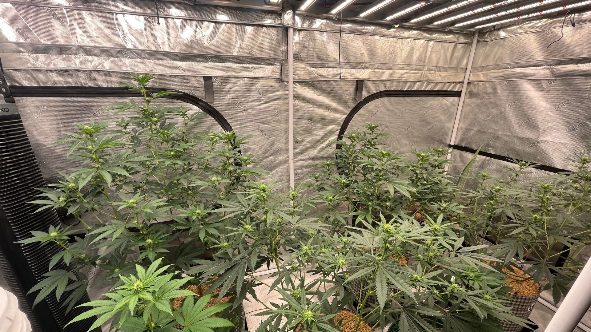 Primex Garden Center-Glenside-Pennsylvania-Outdoor Herb Gardens-herbs