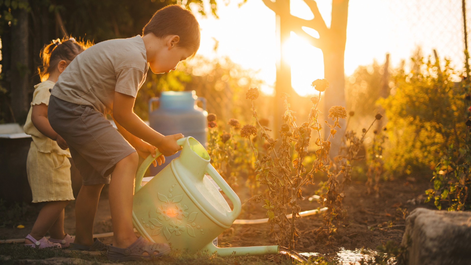 Primex Garden Center-Glenside-Pennsylvania-Fall Watering Tips-boy watering garden at sunset with watering can