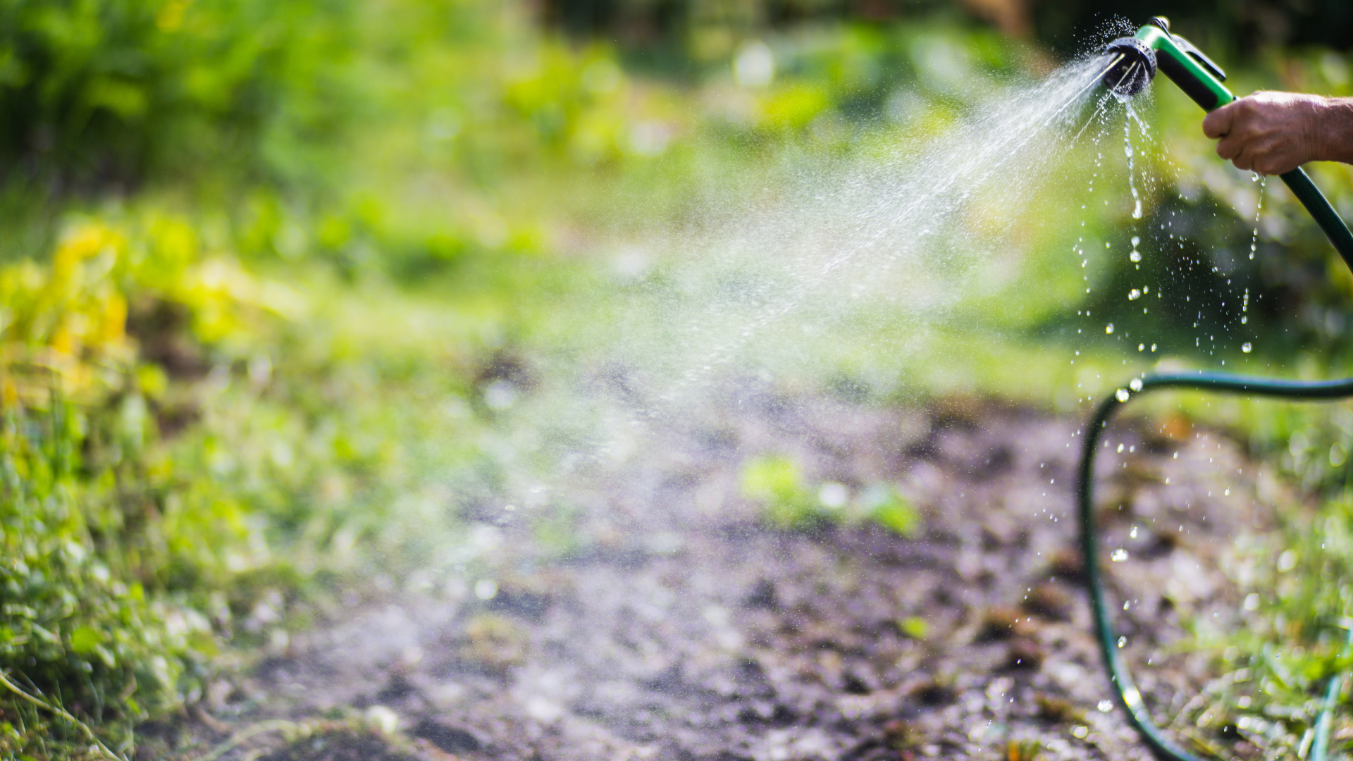 Primex Garden Center-Glenside-Pennsylvania-Fall Watering Tips-person watering garden with hose