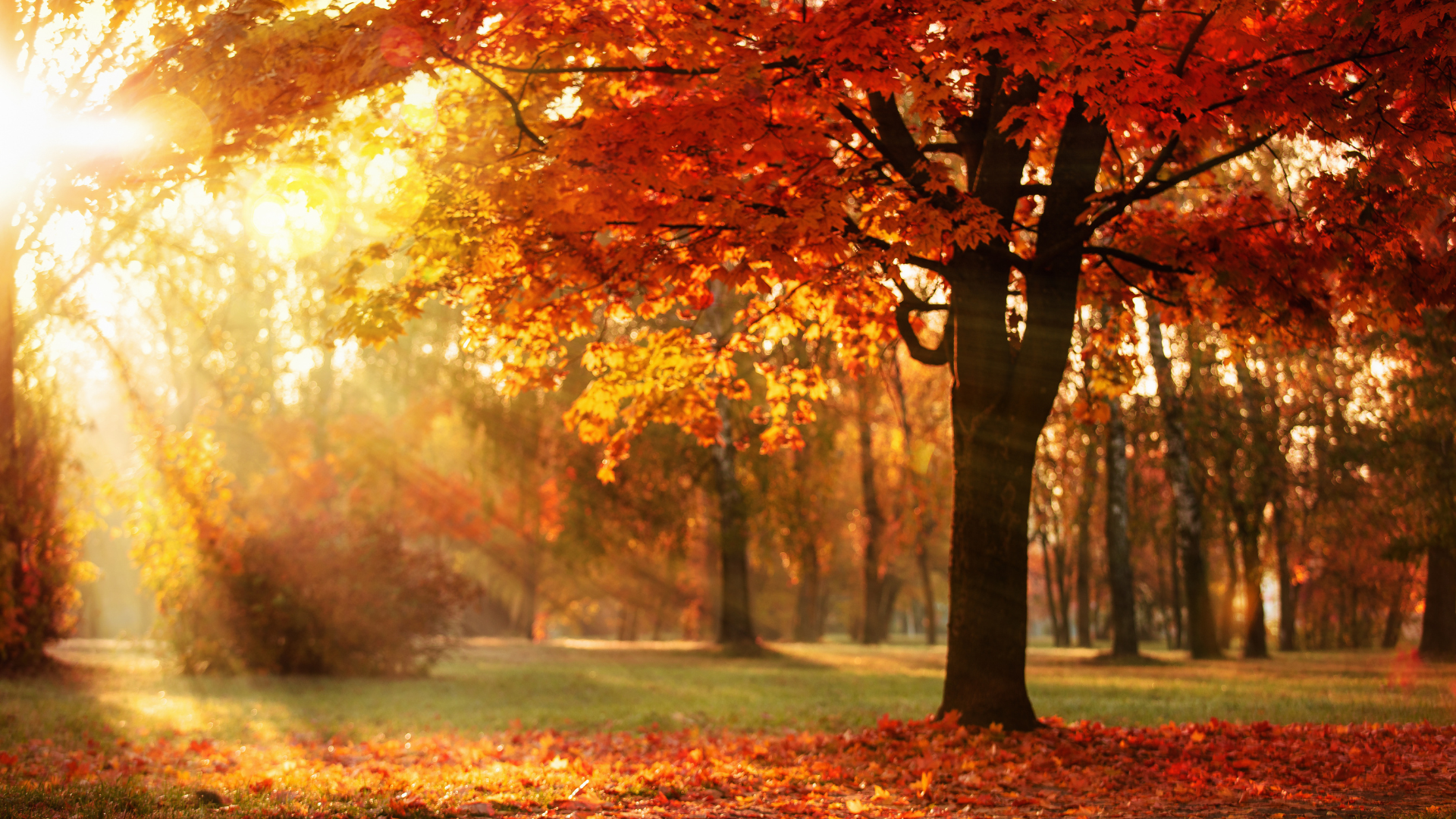 Primex Garden Center-Glenside-Pennsylvania