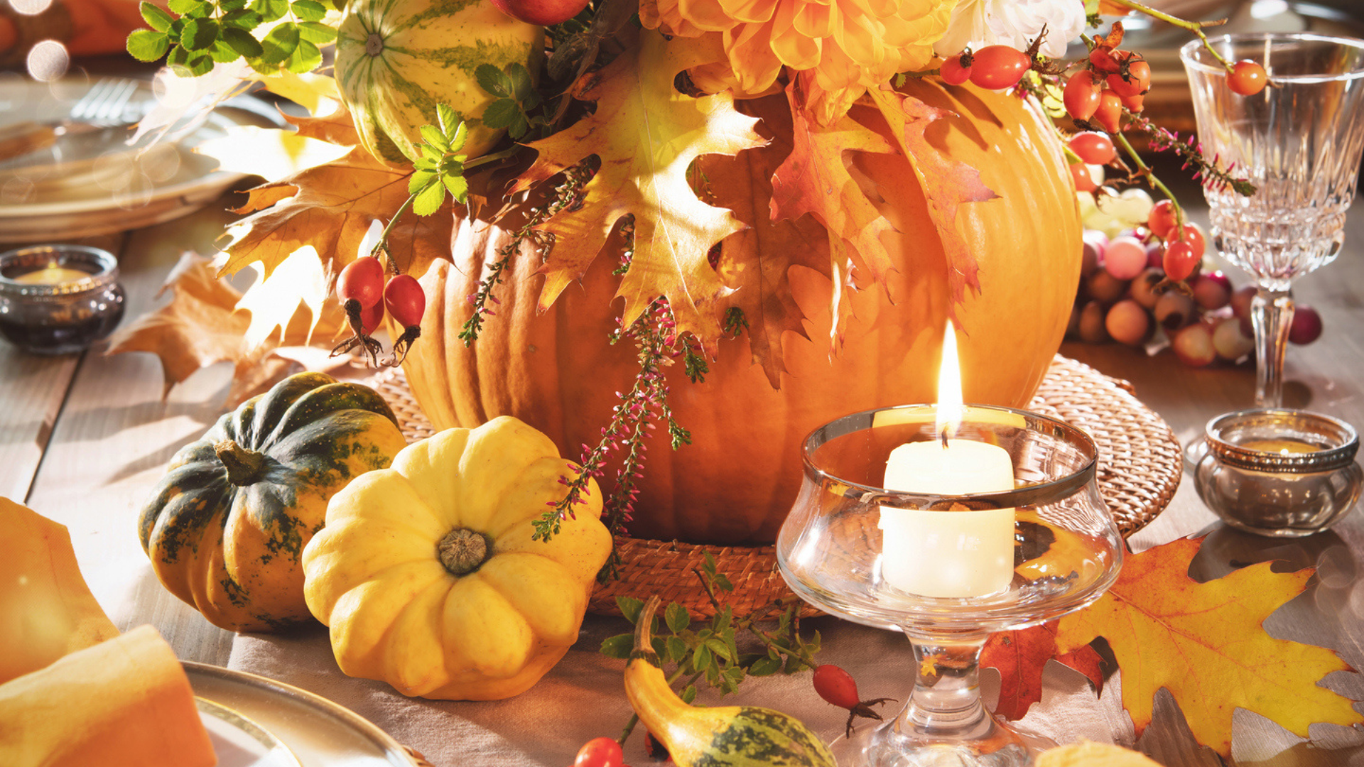 Primex Garden Center-Glenside-Pennsylvania-Perfectly Pumpkin 