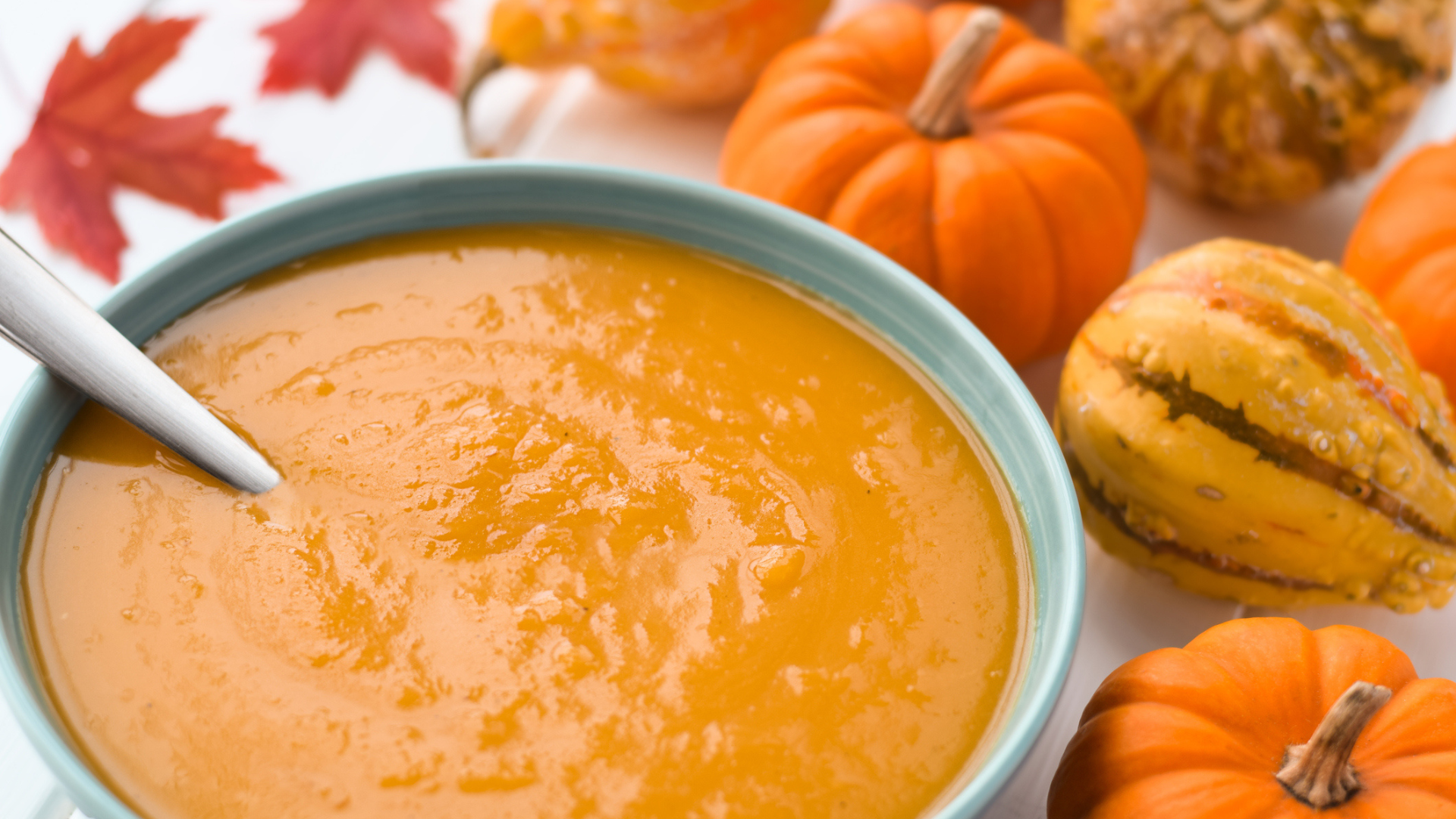 Primex Garden Center-Glenside-Pennsylvania-Perfectly Pumpkin