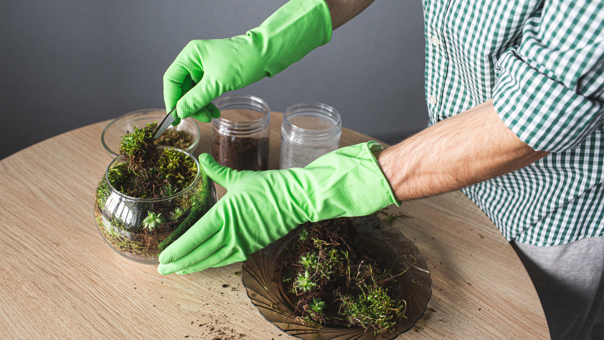 Primex Garden Center-Glenside-Pennsylvania-Trending Terrariums