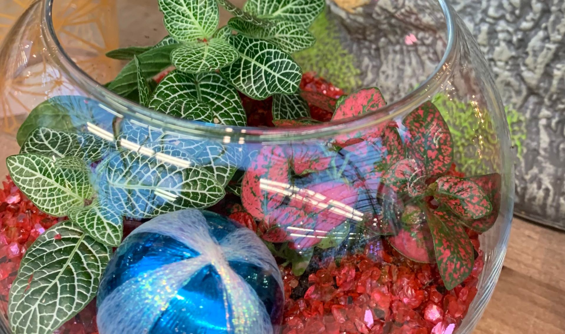 Primex Garden Center-Glenside-Pennsylvania-Winter Terrarium Workshop