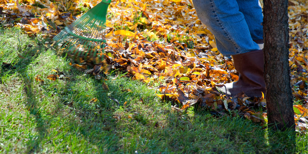  Primex-Glenside-Pennsylvania-Leave-the-Leaves-Raking