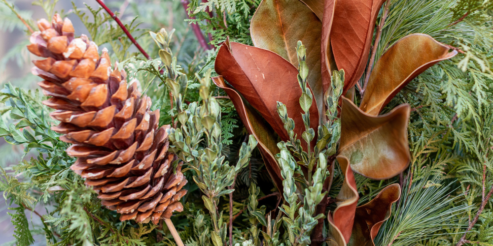  Primex-Garden-Center-Glenside-Pennsylvania-Transition-Your-Containers-for-Stunning-Winter-Displays-cut-greens