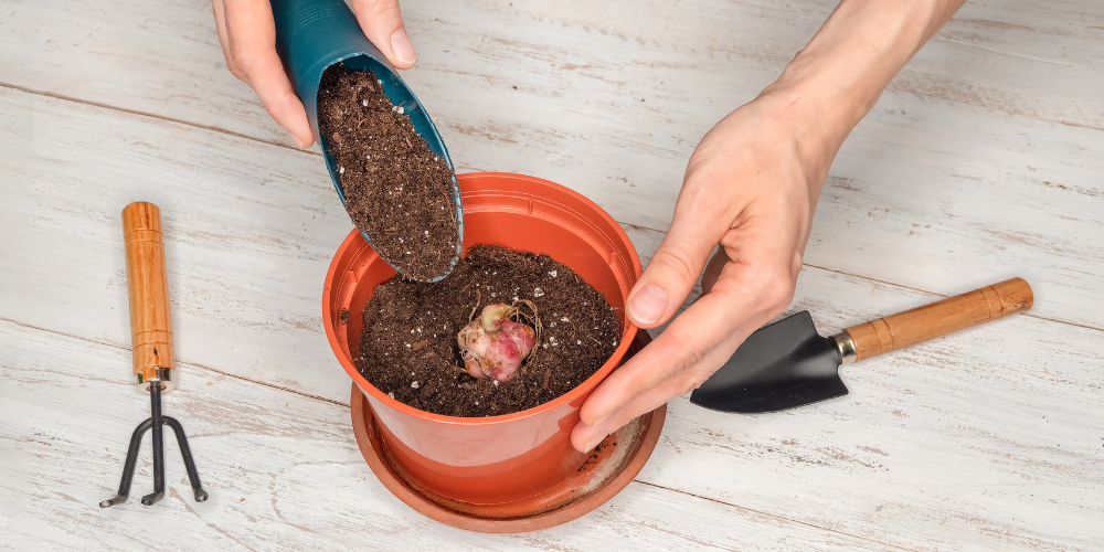  Primex-Garden-Center-Glenside-Pennsylvania-planting-tools