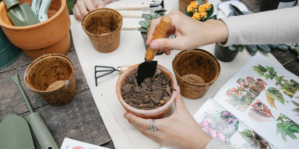 Attachment Details Primex-Garden-Center-Glenside-Pennsylvania-Keep-Your-Orchids-Blooming_-The-Best-Time-and-Way-to-Repot-Choosing-the-Right-Potting-Media