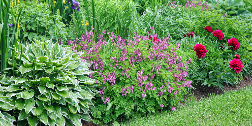 Primex-Garden-Center-Glenside-Pennsylvania-Sustainable-Landscaping-in-Glenside_-Smart-Planting-Strategies-for-Success