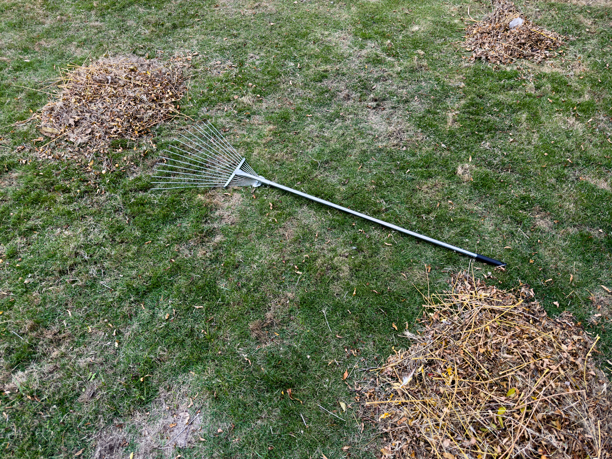 Primex-Garden-Center-Glenside-Pennsylvania-garden-leave-rake-on-lawn