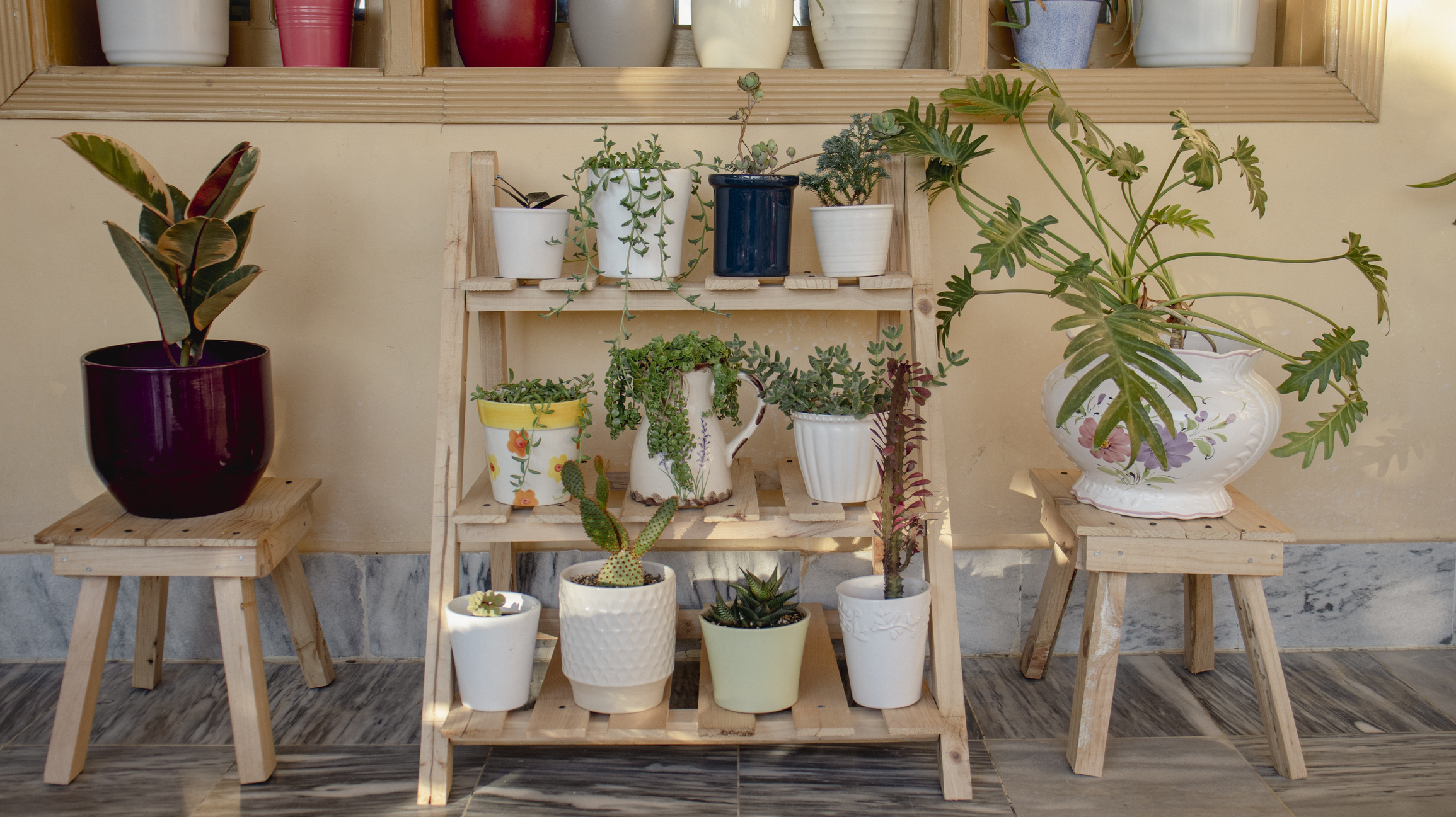 Primex-Garden-Center-Glenside-Pennsylvania-Display-of-succulents-and-cactus-on-a-shelf