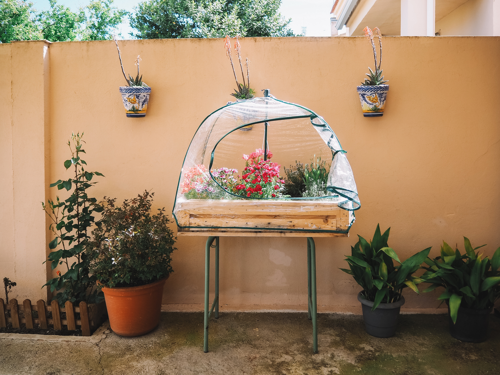 Primex-Garden-Center-Glenside-Pennsylvania-Small-Homemade-Greenhouse-in-Courtyard