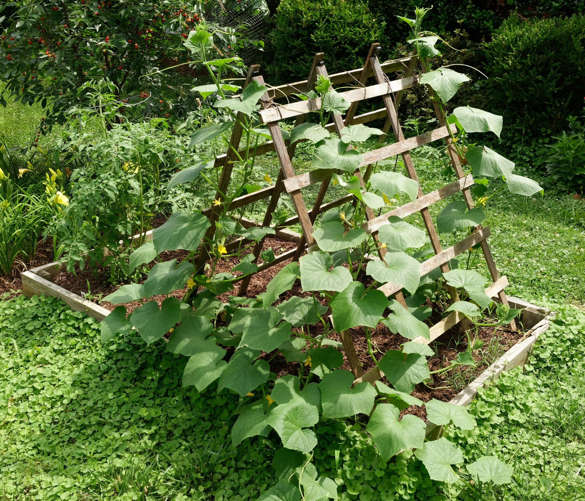 Primex-Garden-Center-Glenside-Pennsylvania-raised-bed-vegetable-planter-with-trellis