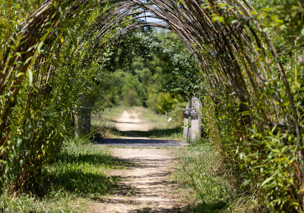 Primex Garden Center-Pennsylvania-Glenside-dogwood twigs