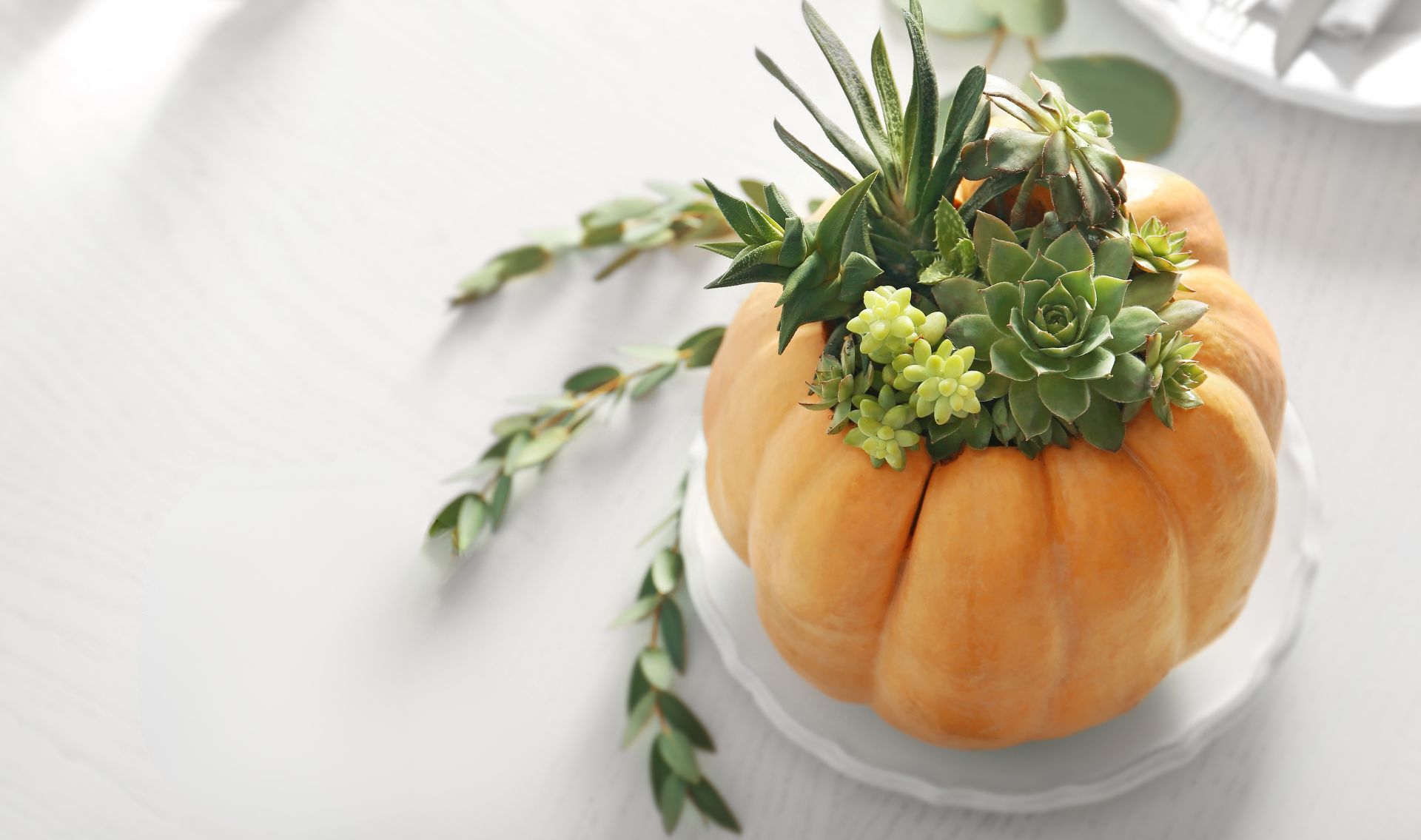 Primex Garden Center-Pennsylvania-Glenside-Pumpkin Planter Workshop