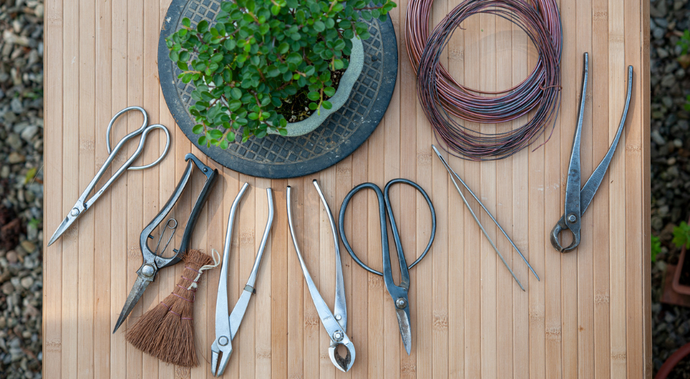 Primex Garden Center-Pennsylvania-Glenside-Bonsai tools