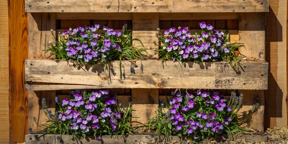 Primex Garden Center-Glenside-Pennsylvania-Creative Gardening with Everyday Items-repurposed pallet