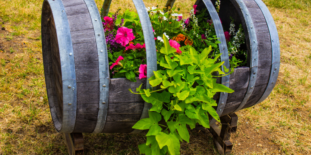 Primex Garden Center-Glenside-Pennsylvania-Creative Gardening with Everyday Items-wine barrel planter