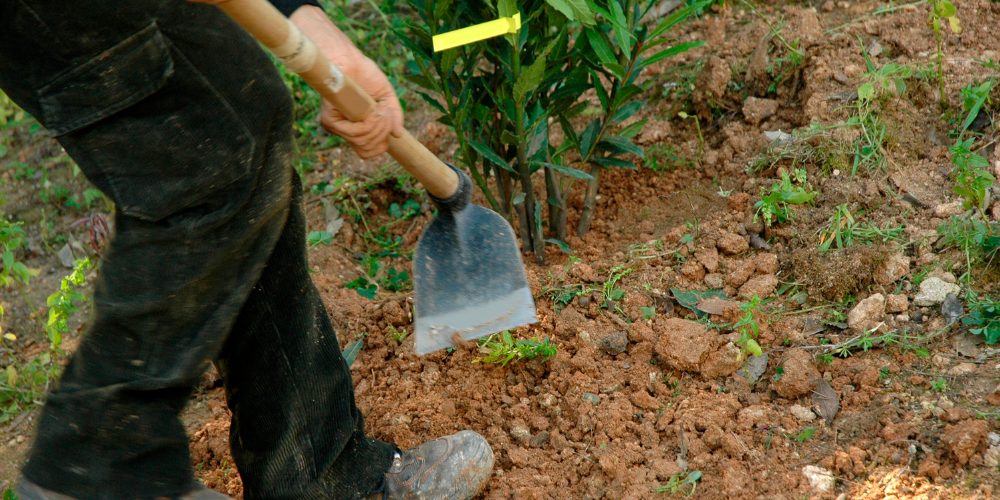 Primex Garden Center Glenside Pennsylvania Gardening Treat Yourself List Garden Hoe