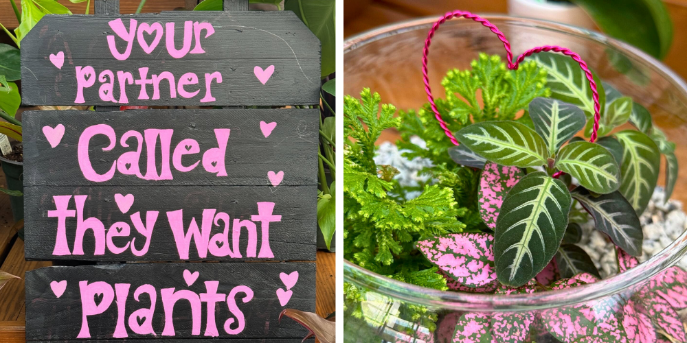 Primex Garden Center-Glenside-Pennsylvania-Give a Living Valentine This Year-terrarium plant sign