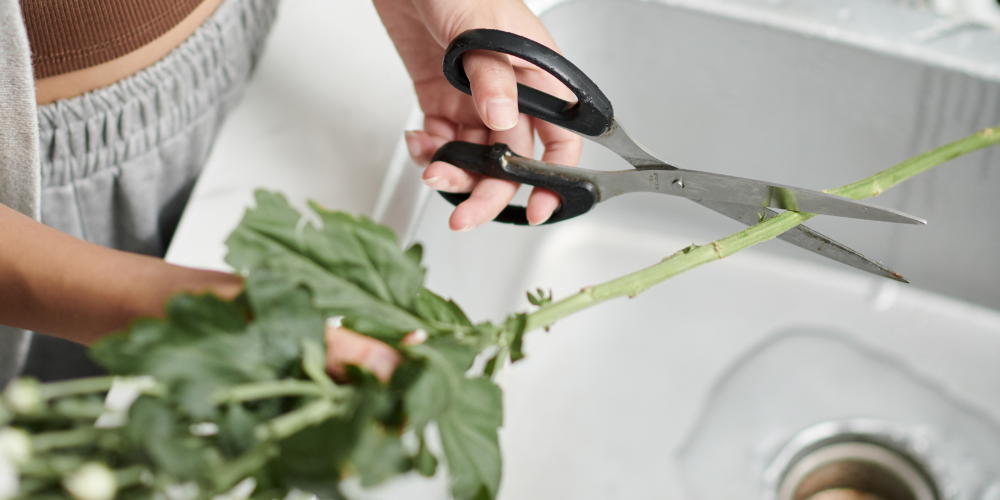 Primex Garden Center-Glenside-Pennsylvania-Grow Your Own Bouquet Garden-cutting flower stems