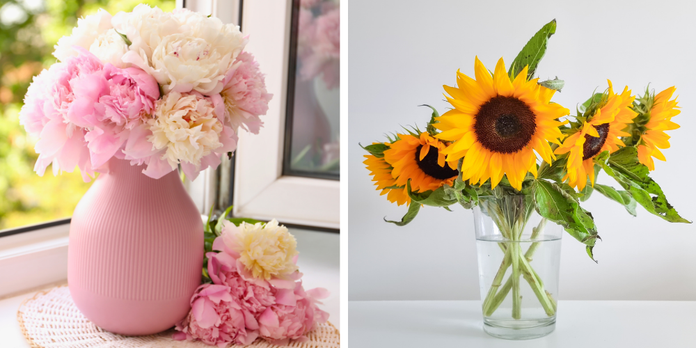 Primex Garden Center-Glenside-Pennsylvania-Grow Your Own Bouquet Garden-peony sunflower bouquets