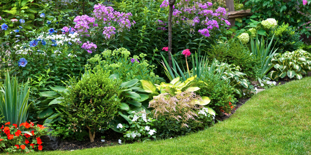 Primex Garden Center Glenside Pennsylvania Annuals Vs Perennials Gardening Mixed Garden