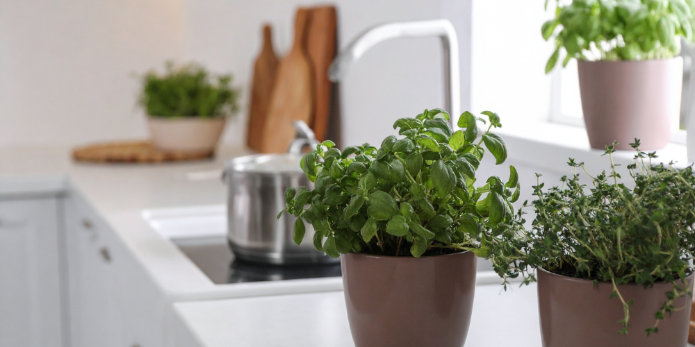 Primex Garden Center Glenside Pennsylvania Kitchen Gardening Made Practical Herbs Kitchen